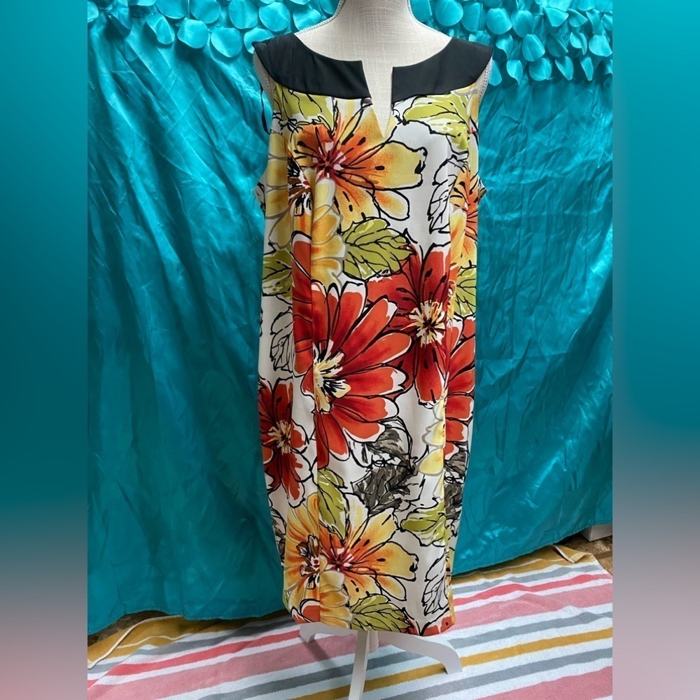 Kim‎ Rogers size 16W